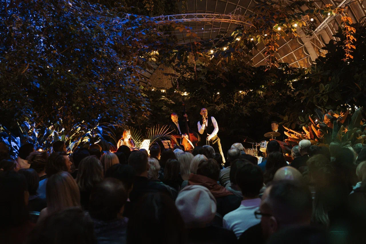 Магия свечей. Фрэнк Синатра. Джаз в оранжерее