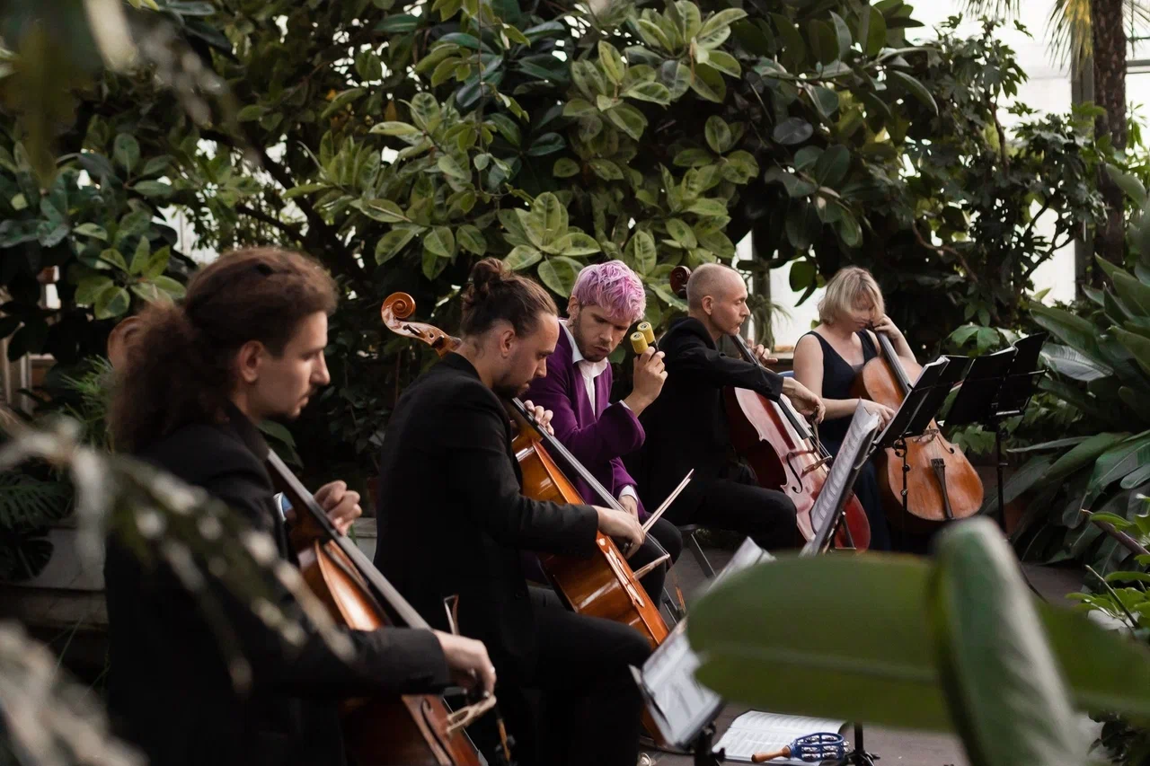 Магия свечей. Рок-хиты на виолончелях в оранжерее