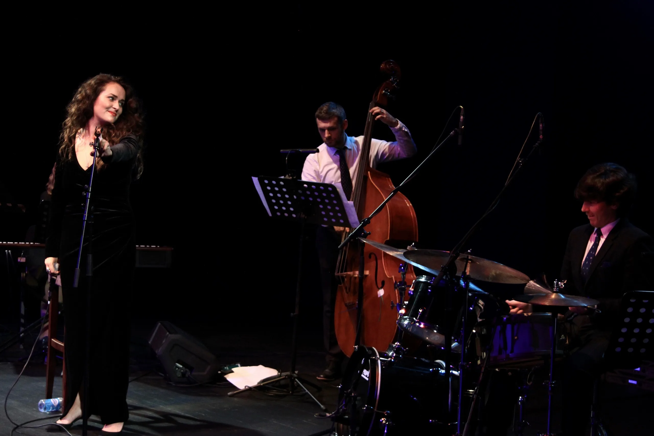 Посвящение легендам: От Синатры до Хьюстон