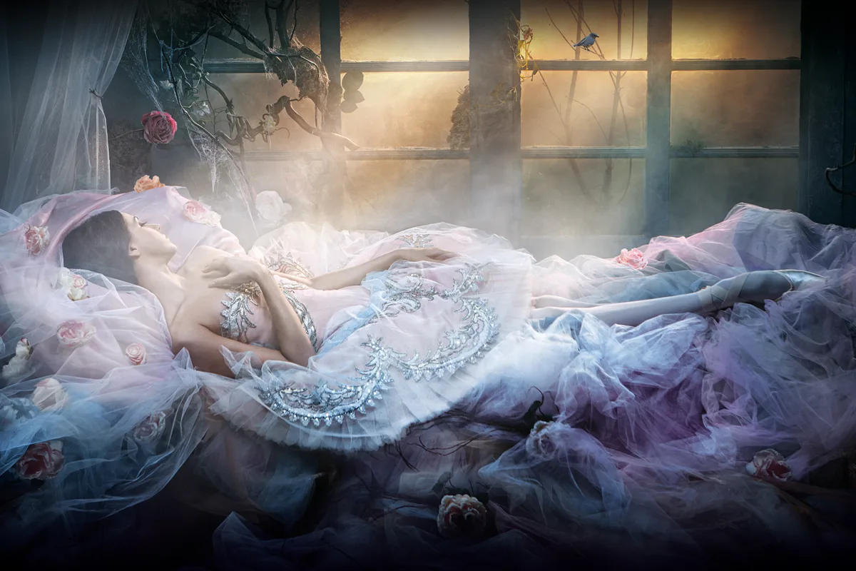 Спящая красавица