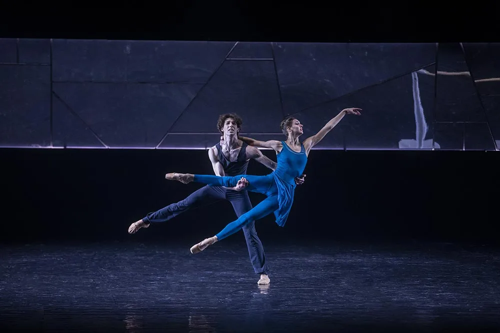 Чайка. Балетная история