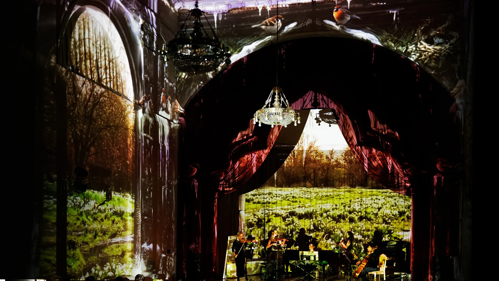 Иммерсивный концерт: «Времена года» Вивальди