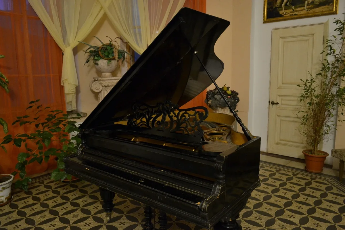 Экскурсия в особняк Шрёдера + концерт «Мгновения весны»