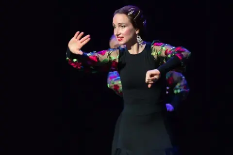 Flamenco на крыше
