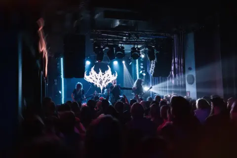 Плаха x Береста