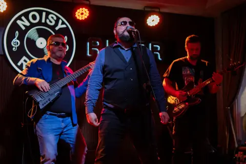 Zebra Wood Blues Band